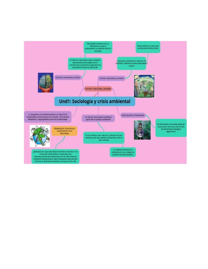 yudy-naturaleza-y-sociedad